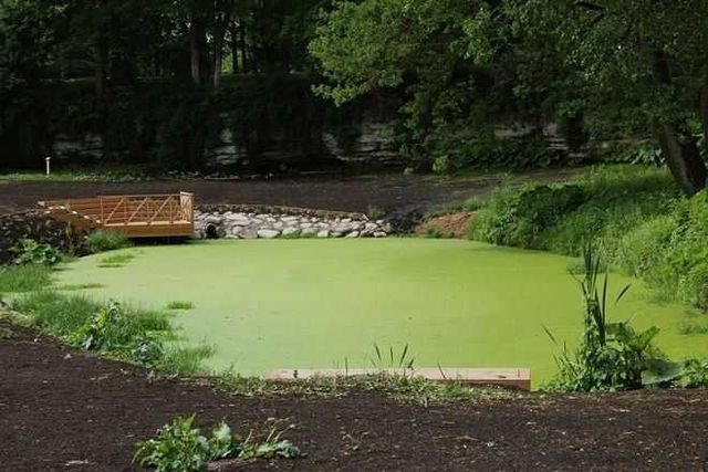 Фатка для приусадебных водоемов