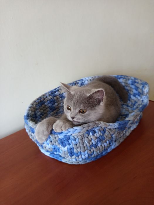 Лежанка для котика