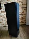 Tonsil Maestro II 180W