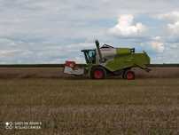 Claas Tucano 320  Claas Tucano 320
