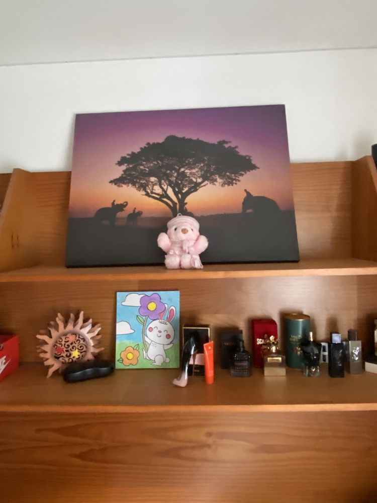 estudio de quarto