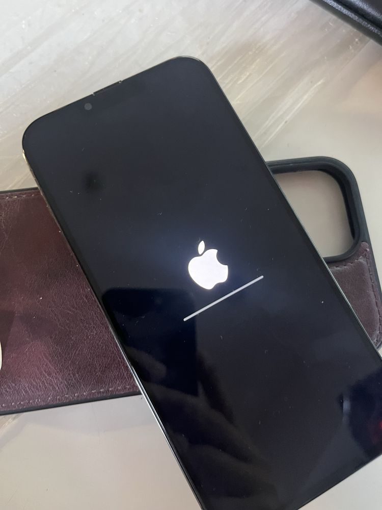 iPhone 13 pro max 256