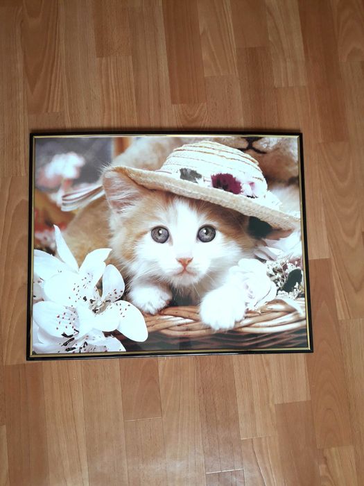 Картина с котиком