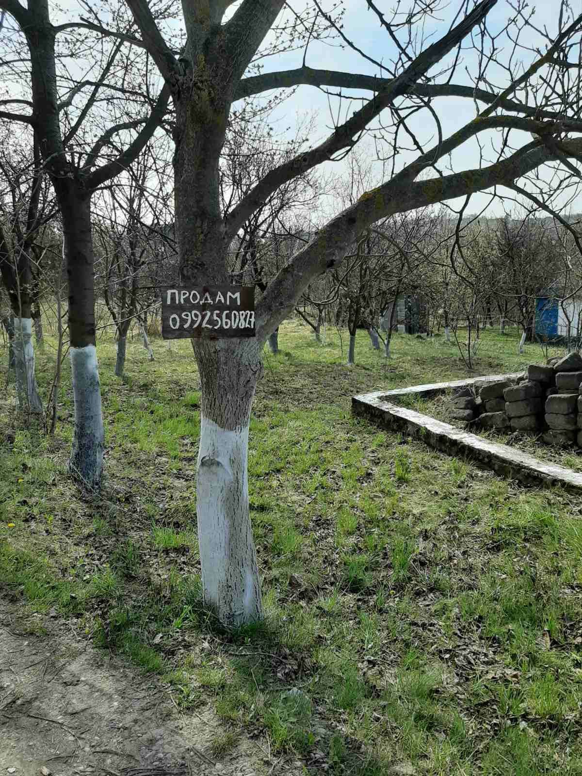 Продается приватизированая дача