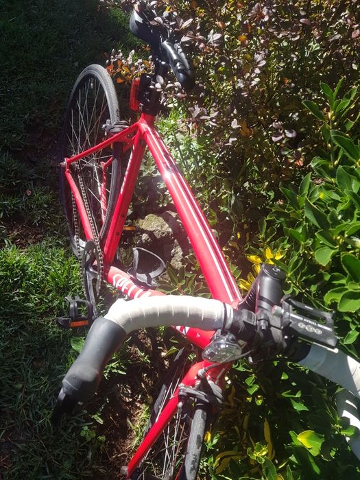 Specialized Langster seminova