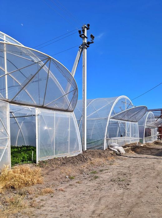 Теплиці 10×50, 6×30, 10×100 Найнижча ціна! Знижка по УБД!