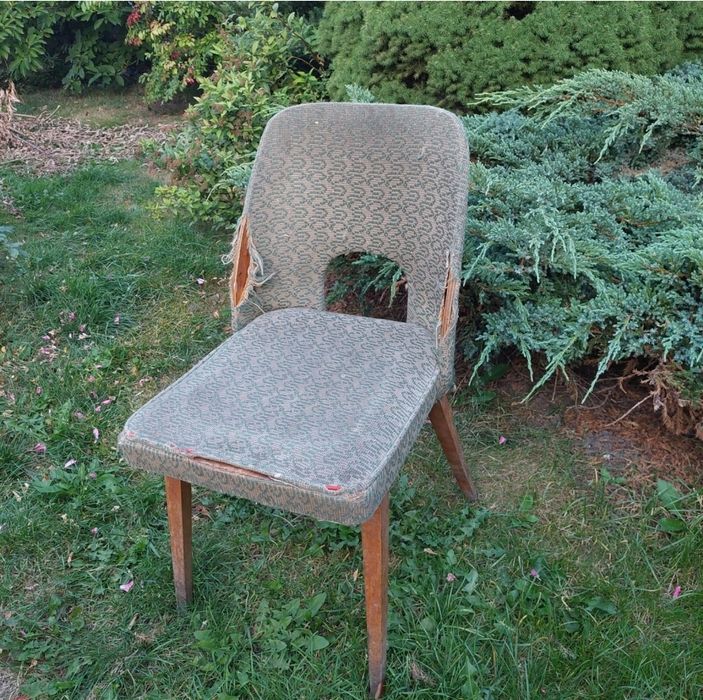Krzesła muszelka do renowacji