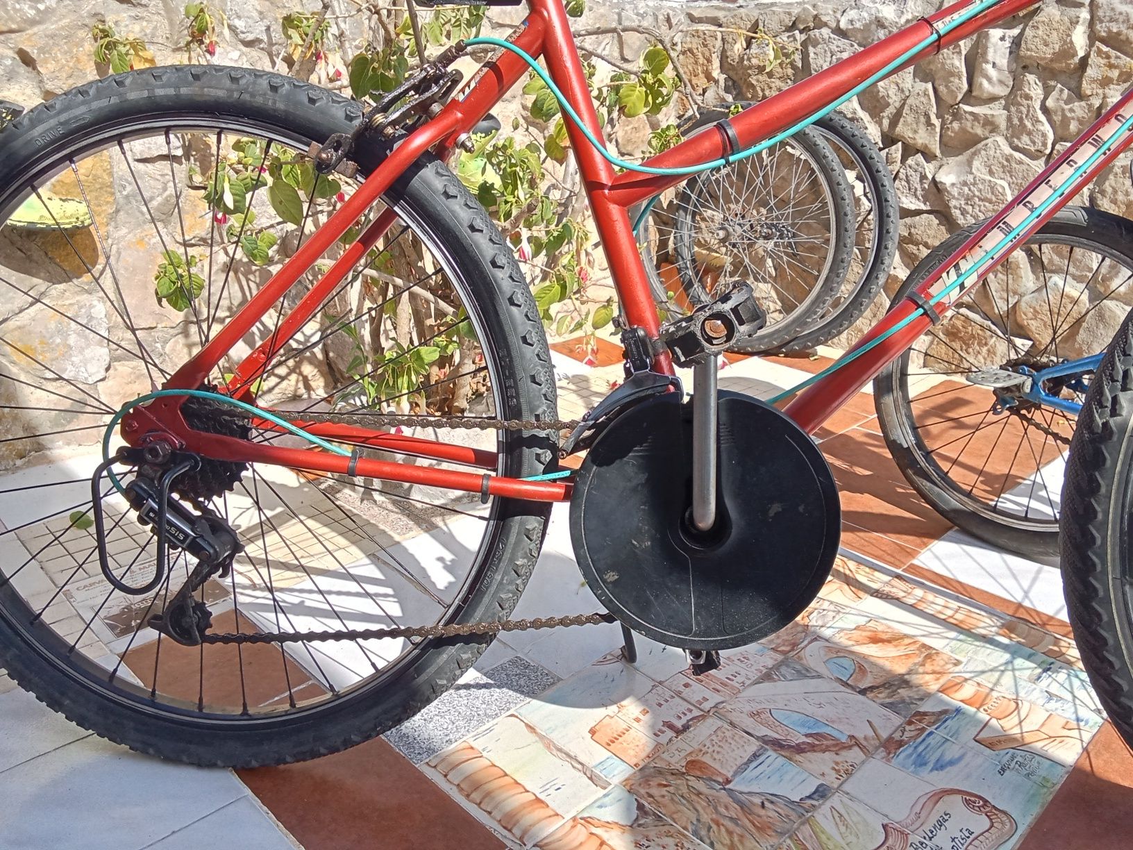 Bicicleta para adulto Bike