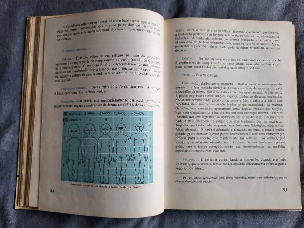 A Criança - Dr. Manuel Tavares Rodrigues de Sousa