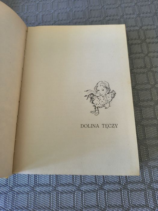 302. Książka dolina tęczy  rilla z złotego brzegu