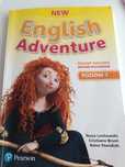 New English Adventure 1 ćwiczenia