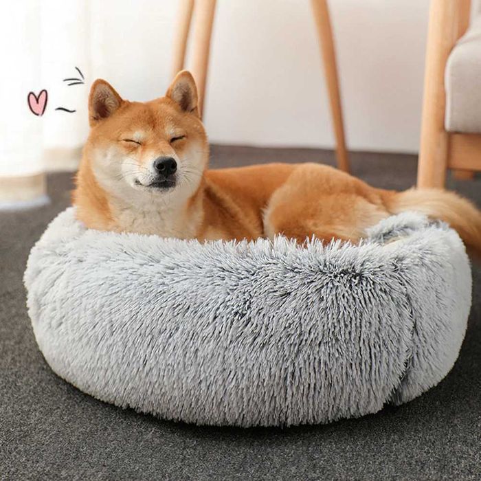 Novo | Cama Para Animais Estimação ( Gato/Cão )