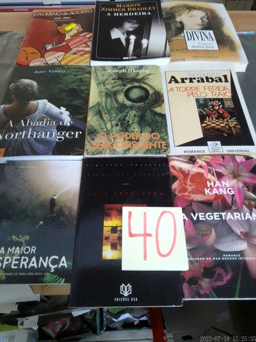 Lote 40 - LIVROS Diversos - Vendidos INDIVIDUALMENTE - a Vários Preços
