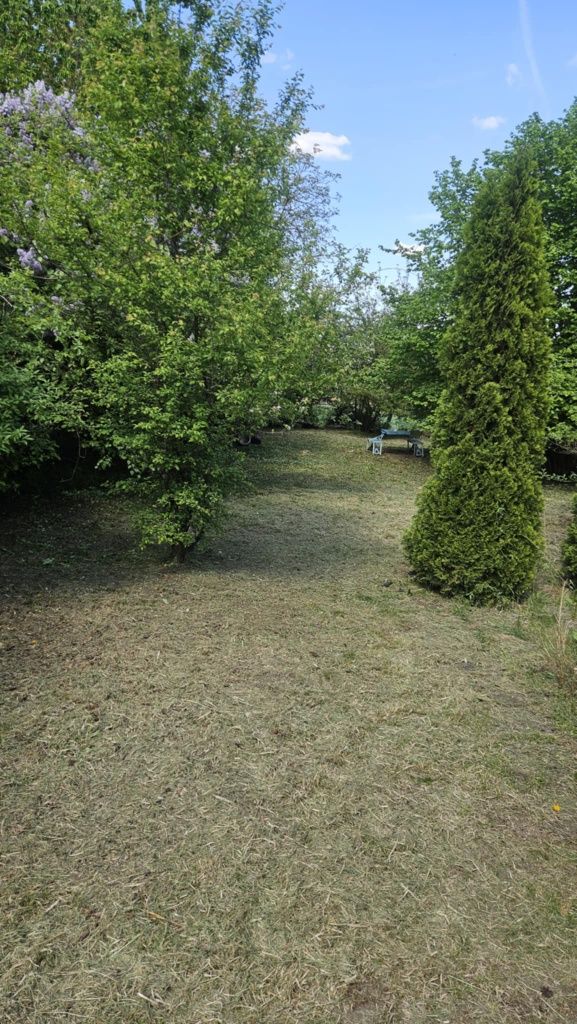 Ogródek dzialkowy 432m² ROD Powstaniec  Chorzów Stary