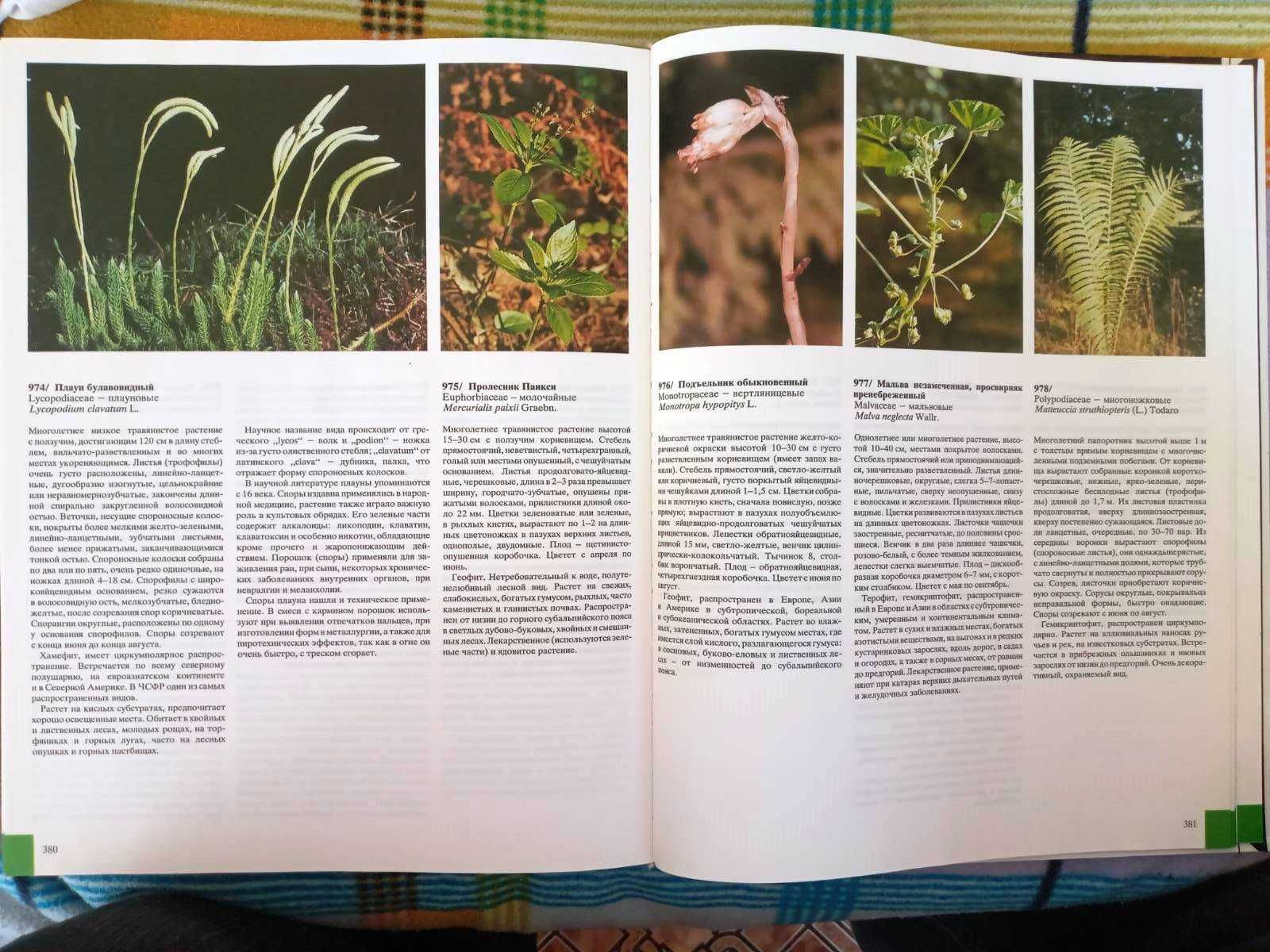Книга "Цветовой атлас растений", Душан Рандушка,, 1990 р.