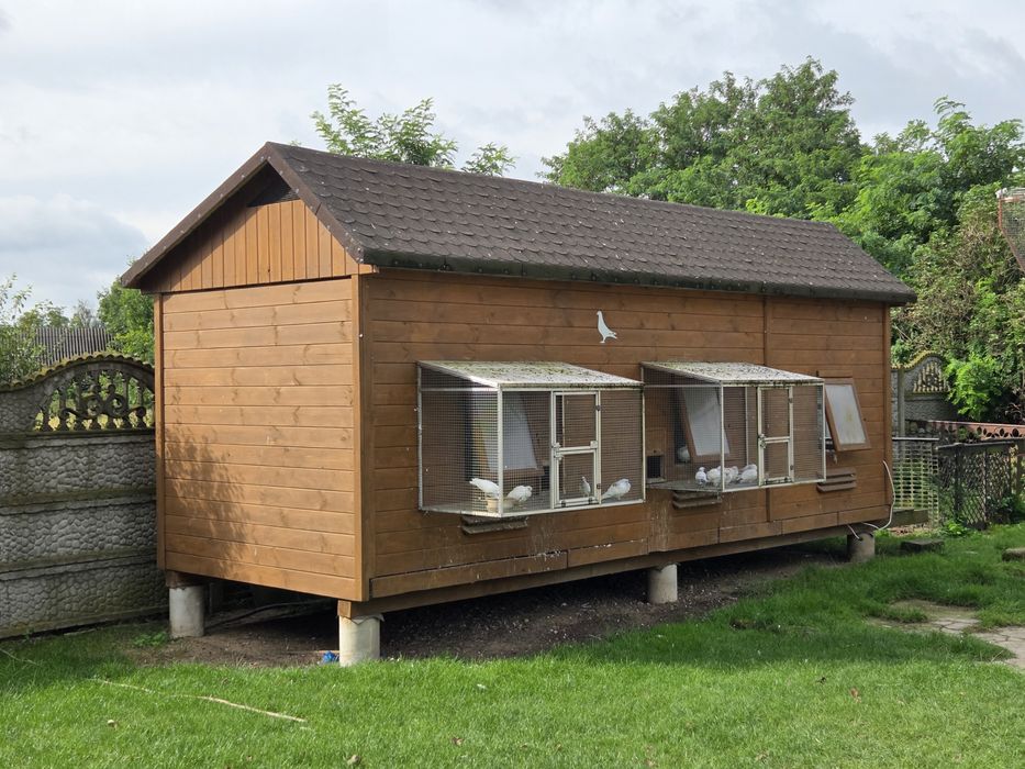 Gołębnik wolnostojący