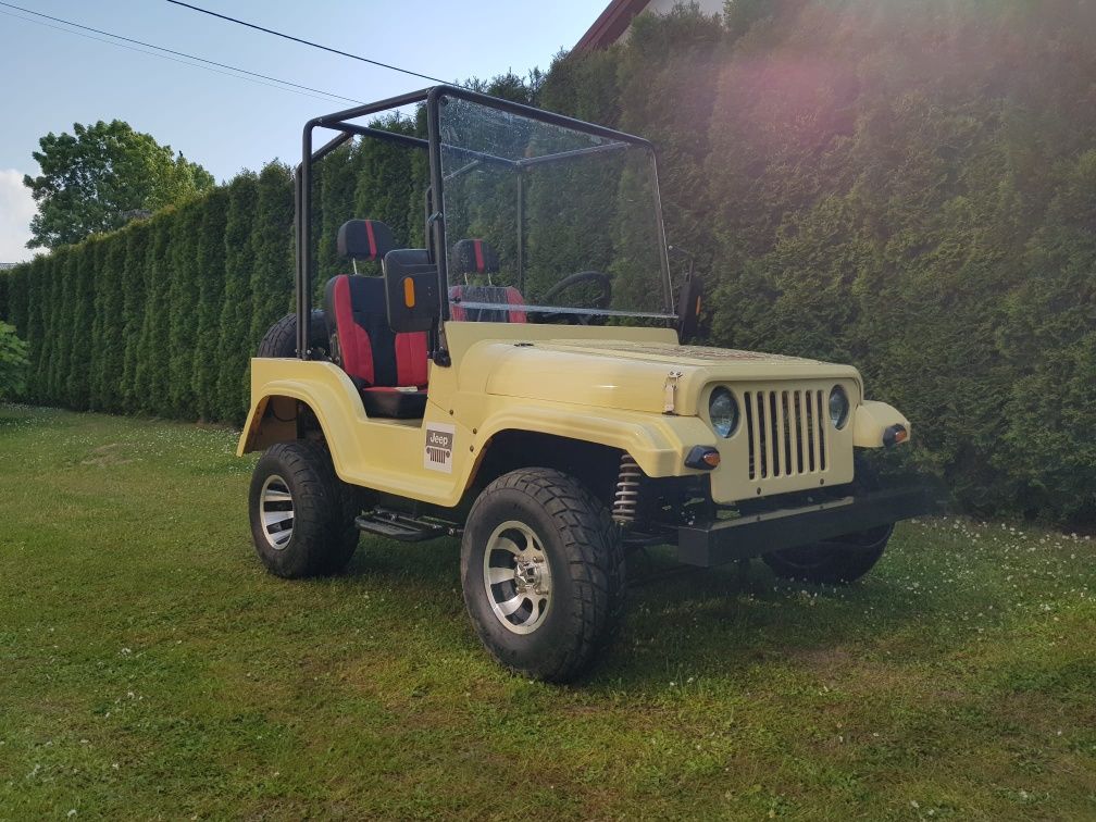 Mini Jeep Wrangler (Quad, buggy, UTV, ATV, Gokart, melex)