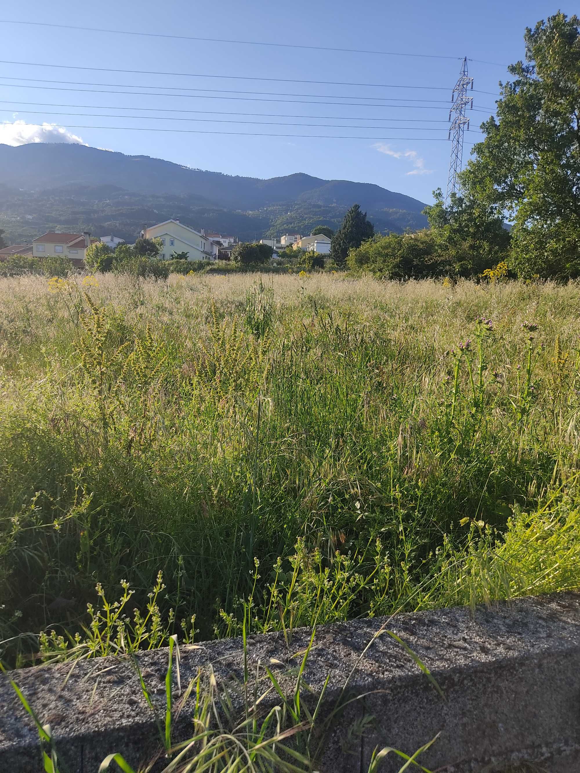 PERMUTA OU VENDA Lote terreno em Canhoso