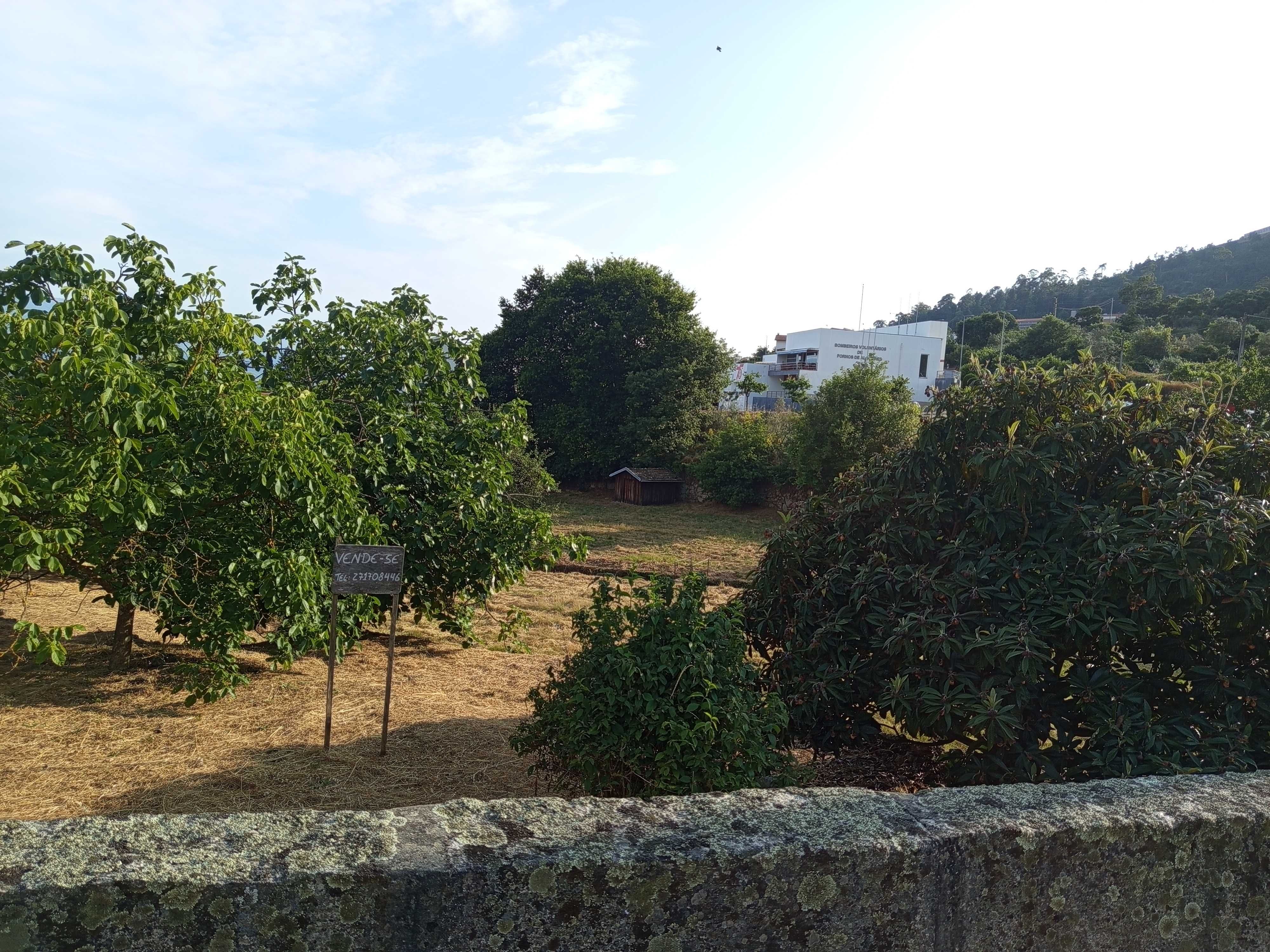Vendo terreno em Fornos de Algodres