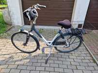 Rower Gazelle Montreux