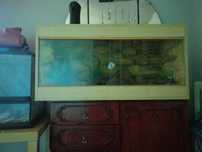 Terrarium 100x50x40