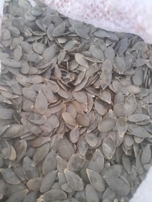 Гарбузове насіння