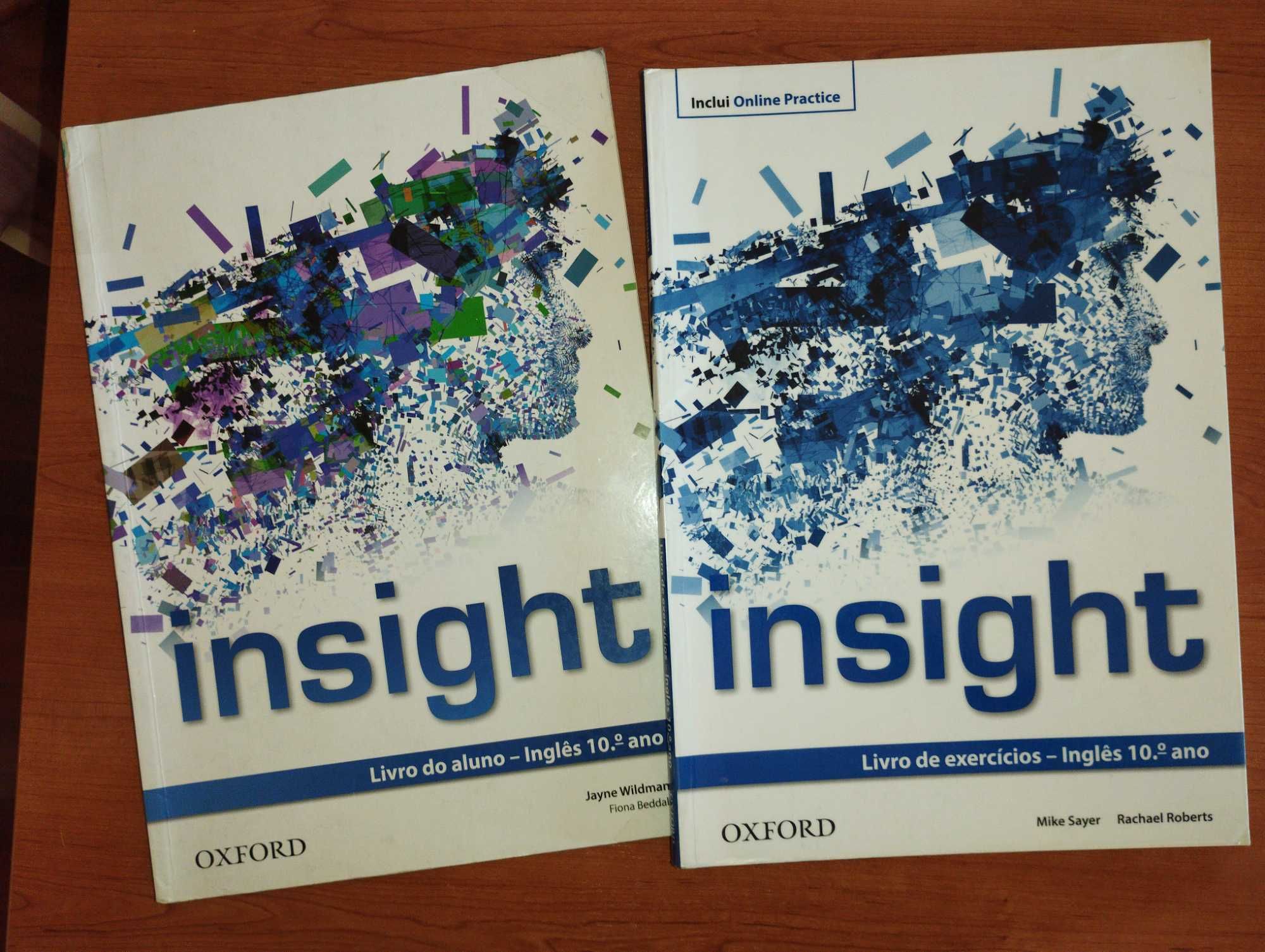 Manual + Caderno de Atividades Insight 10