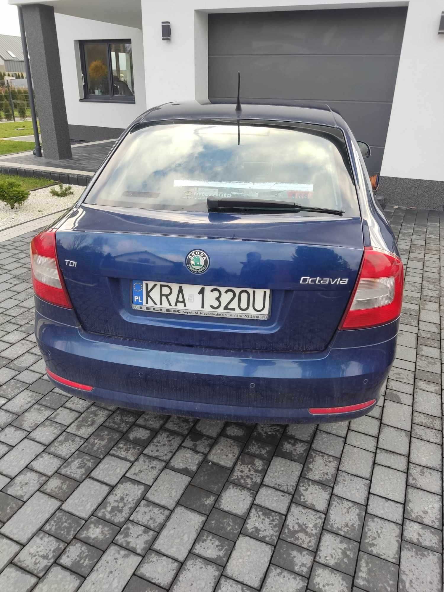 Wynajem auta samochodu SKODA OCTAVIA  Kraków