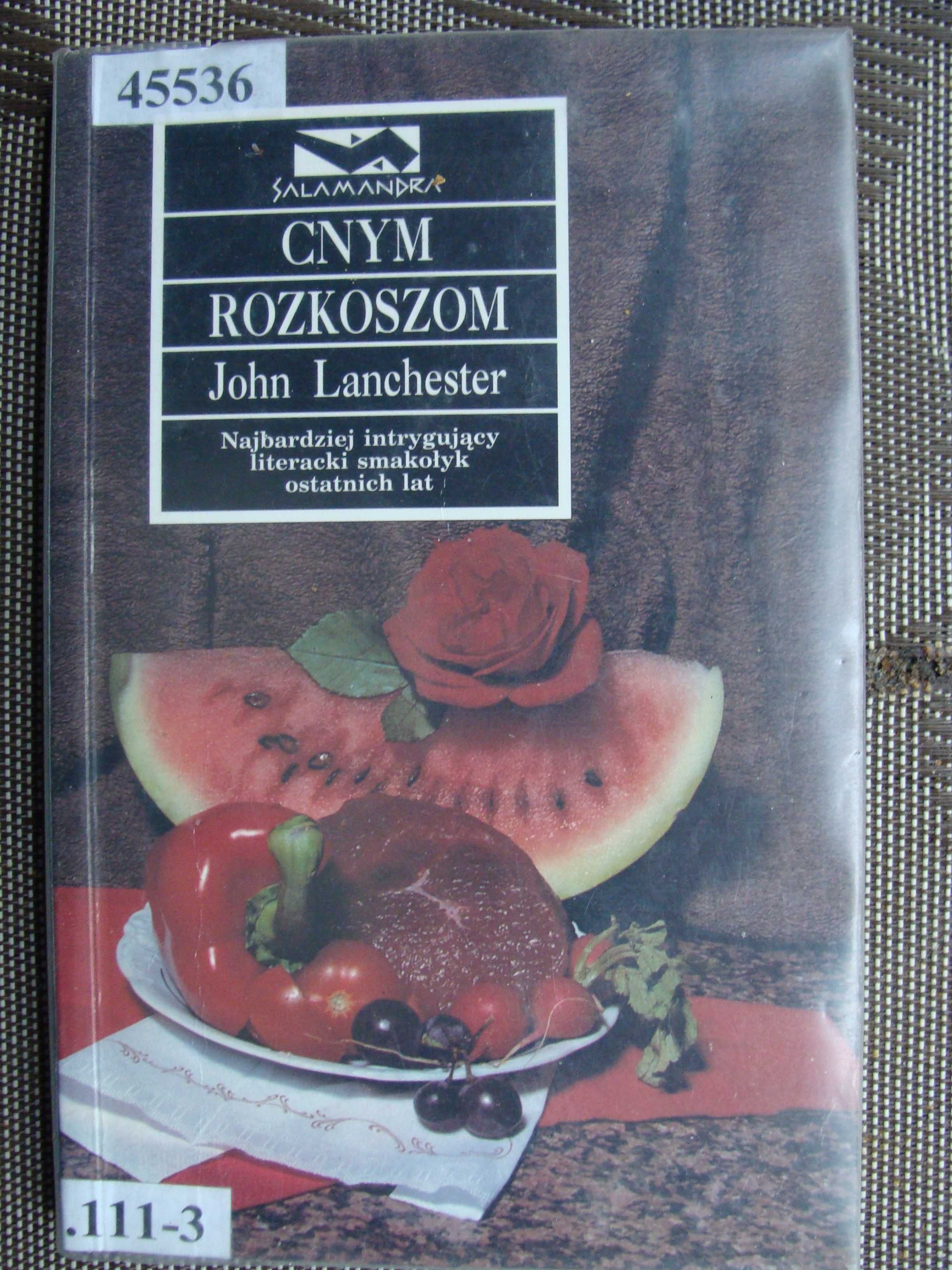 Cnym rozkoszom - John Lanchester