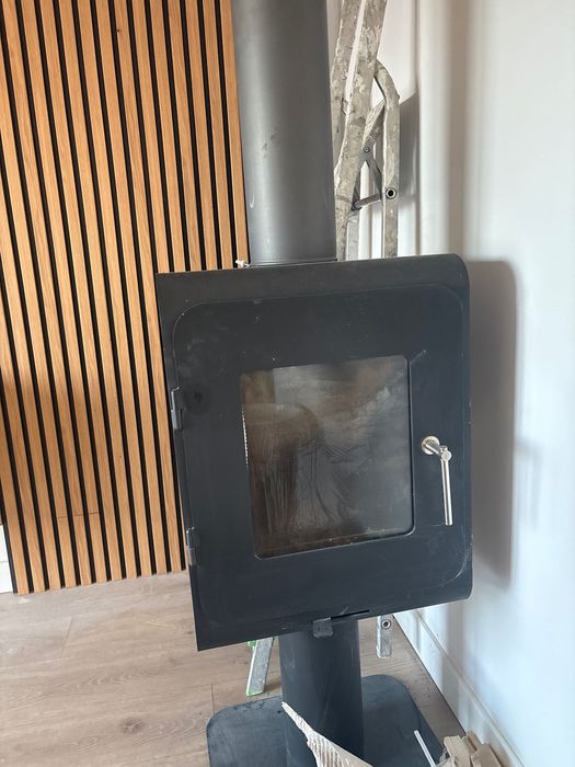 Salamandra alta cinzenta