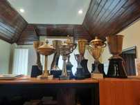 Lote de taças e troféus em casquinha