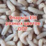 Опарыш разных цветов крупный чистый без запаха! Пинка, черви, мотыль
