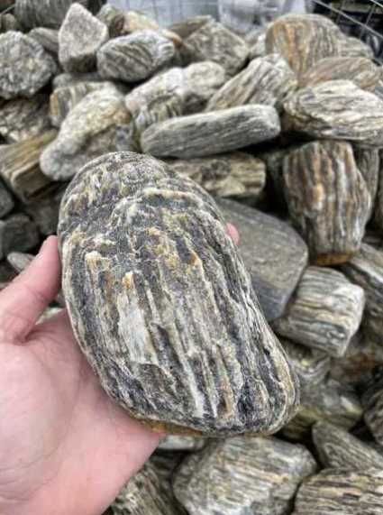 Kamień Akwarystyczny Łupek Drzewiasty Gnejs Kryjówka Malawi Tanganika