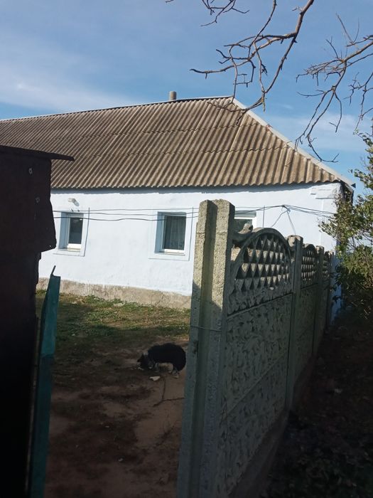 Дом в Петрово-Солонихе, возможен торг