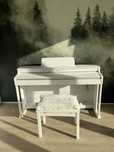 Pianino casio celaviano AP 270-BK + krzeselko