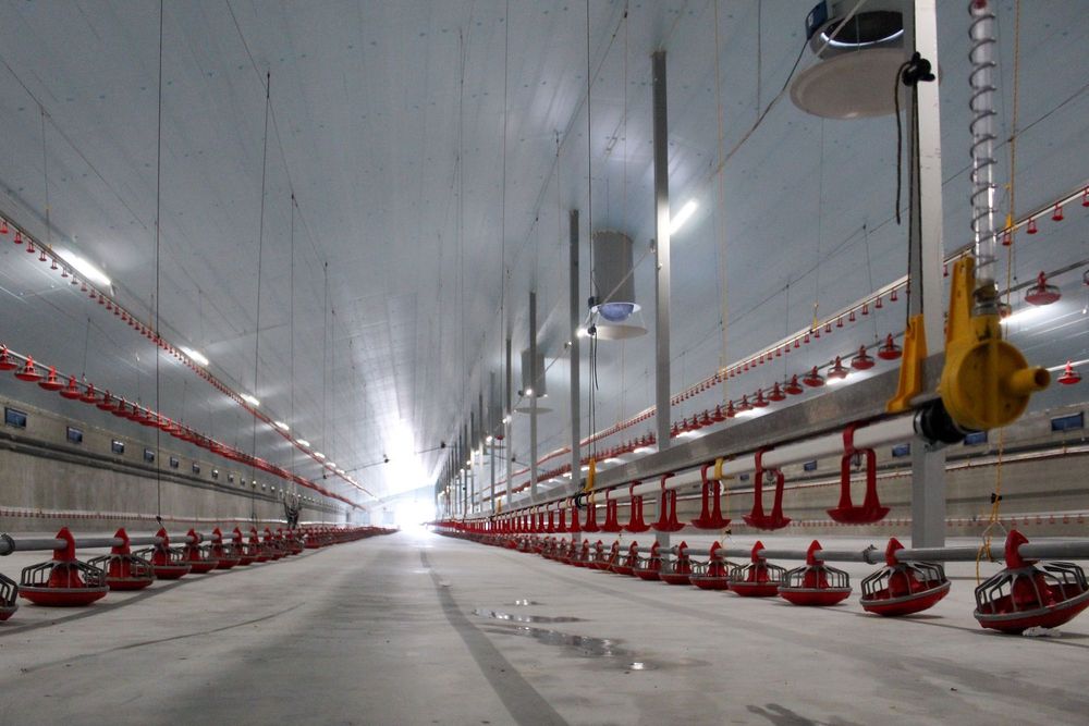 Styrodur XPS AGRO Termo Izolacja Ocieplenie Dachu Stropu Sufitu