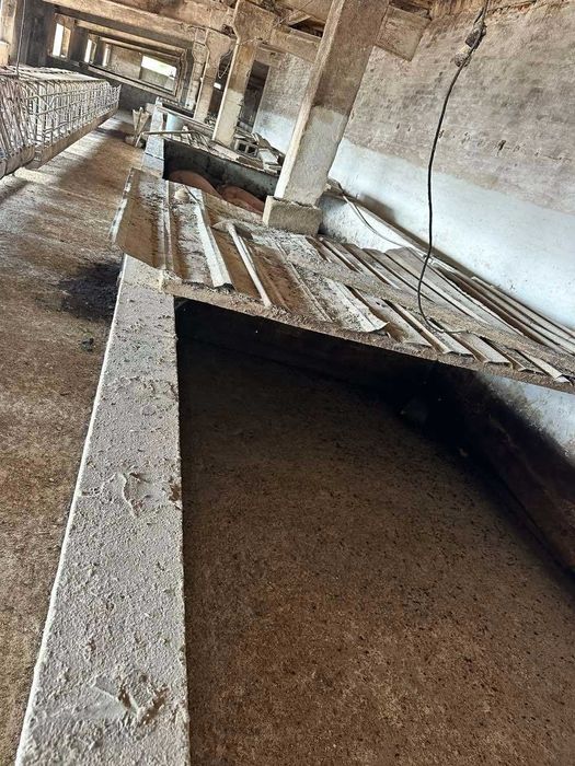 ОРЕНДА, ПРОДАЖ свиноферми