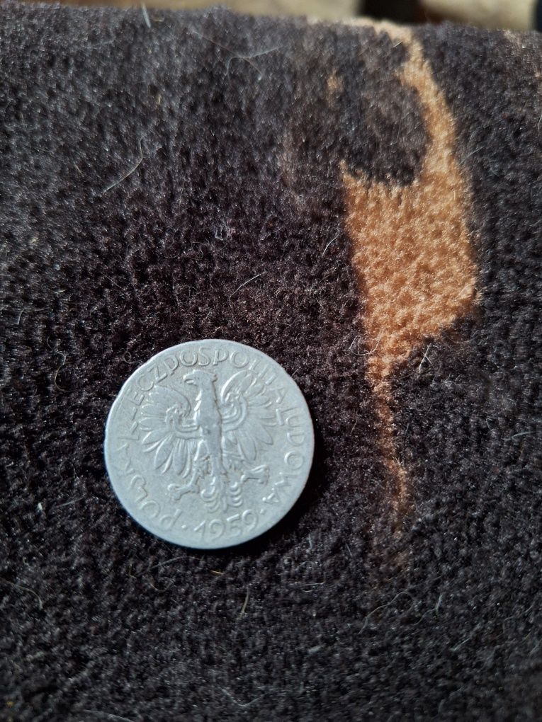 Moneta 5 zl Rybak 1959