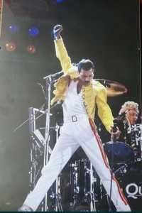 Fred Mercury Queen Freddie obraz płótno antyrama plakat 30 cm na 45 cm