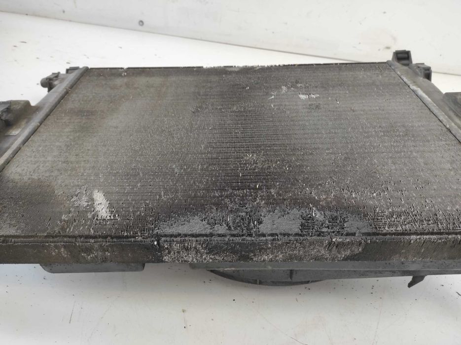 Renault Megane II 2 1.9 DCI Chłodnica Wody Wentylator