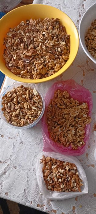 Продам ядра грецьких горіхів