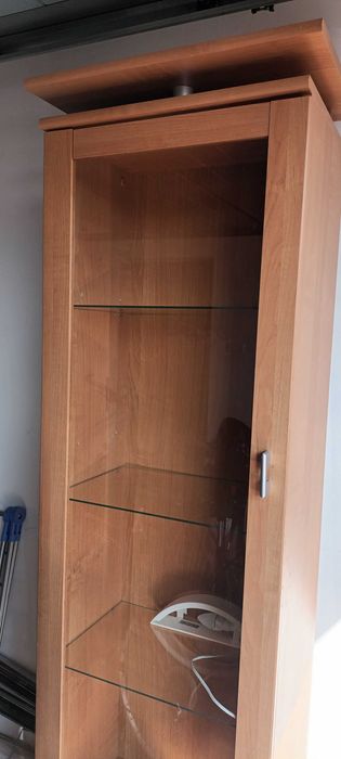 Witryna olcha miodowa