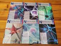 Neurologia praktyczna cały rocznik 2016