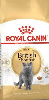 British Shorthair Royal Canin 10kg koty dorosłe