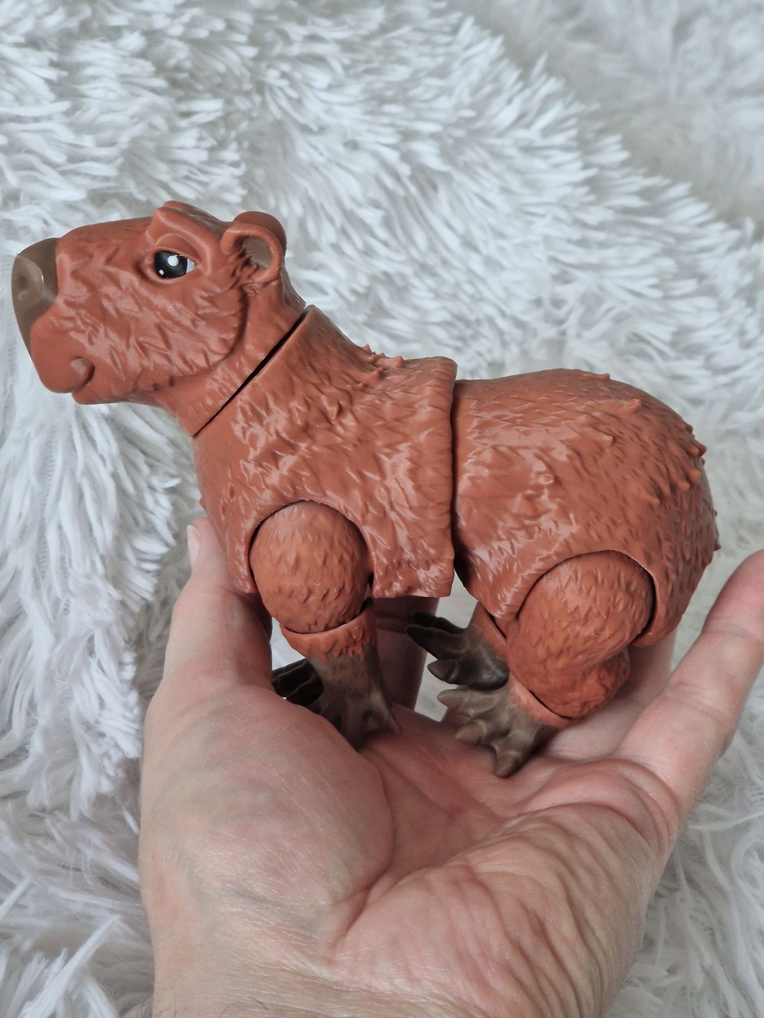 Felxi kapibara, capybara piękna, duża!