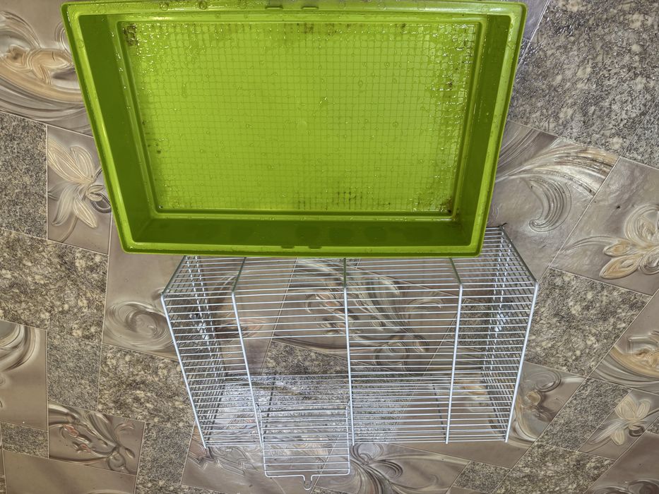 Клетка для морской свинки