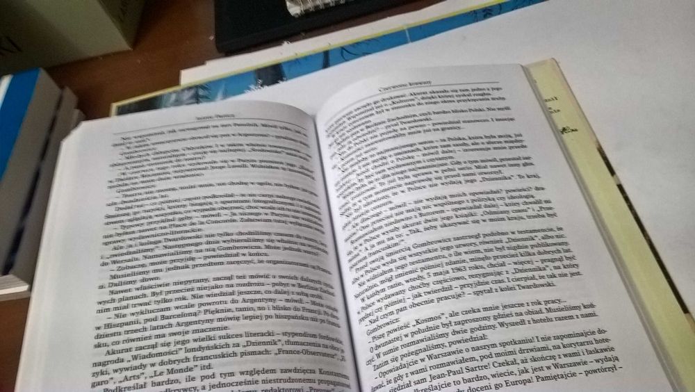 Jaśnie Panicz O Witoldzie Gombrowiczu
Joanna Siedlecka