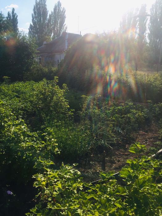 Продам дом в г. Апостолово