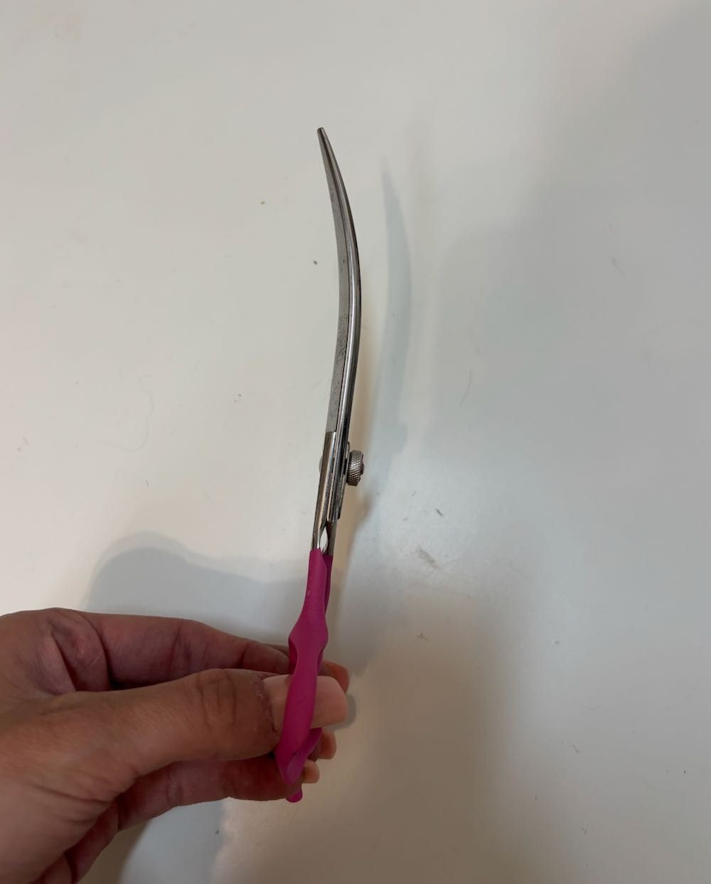 nożyczki groomerskie fryzjerskie Jargem Pink Curved Scissors