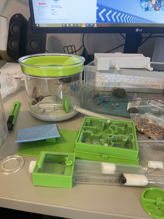 Zestaw do hodowli mrówek - formikarium i gniazda plus gratisy